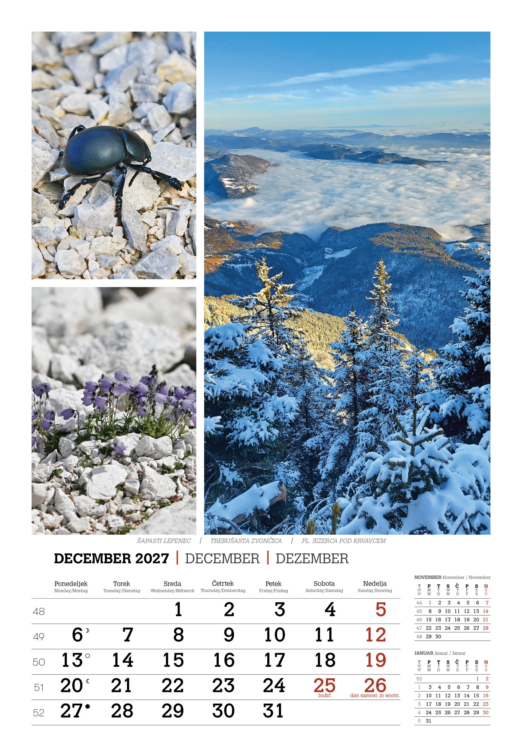 koledar_lepote gora_202713